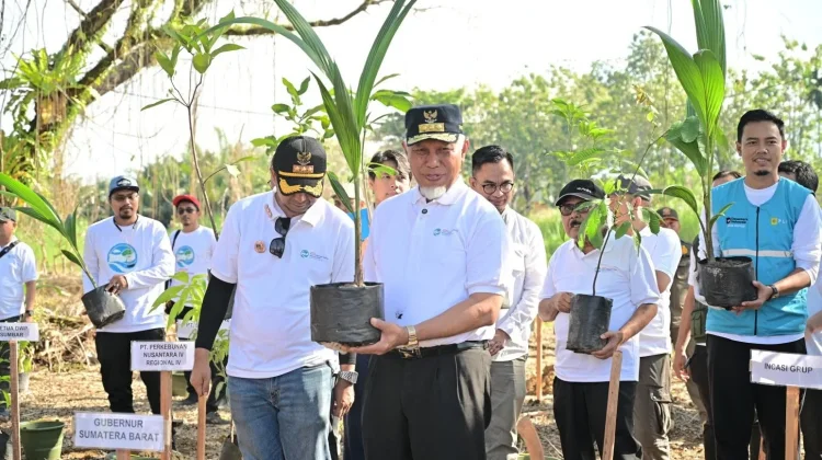 Hari Lingkungan Hidup, Mahyeldi Pimpin Penanaman 1.000 Pohon di Padang