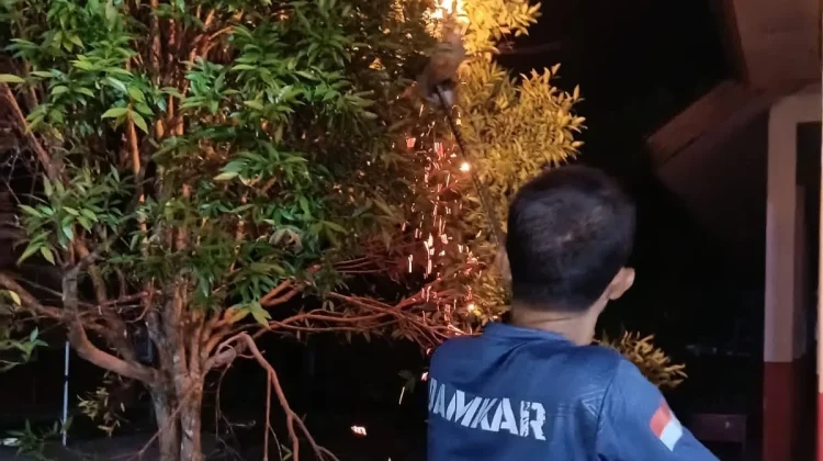 Damkar Musnahkan Sarang Tawon Vespa yang Mengancam Siswa SDN 36 Rangeh