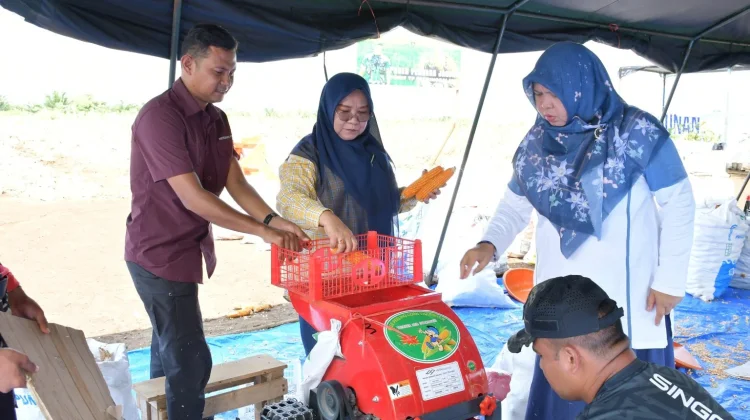 Perkuat Sektor Pertanian, Ketua TP PKK Agam Tinjau Lahan Batalyon TP 897 Singgalang