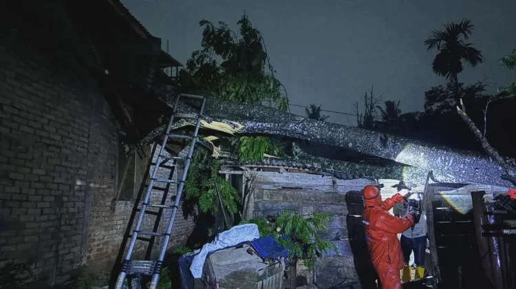 Hujan Angin Tumbangkan Pohon di Tiga Lokasi Payakumbuh, Satu Rumah Warga Tertimpa
