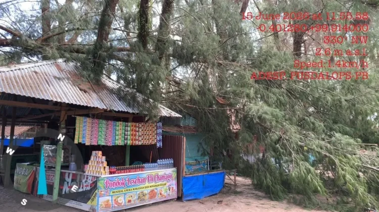 Pohon Tumbang Rusak Atap Enam Kedai Warga di Tiku Selatan Agam