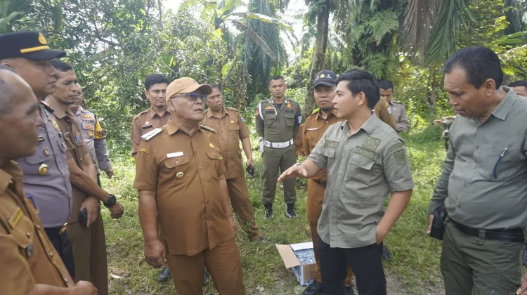 Pasaman Barat Jadi Prioritas Program Sekolah Nasional Terintegrasi 2026