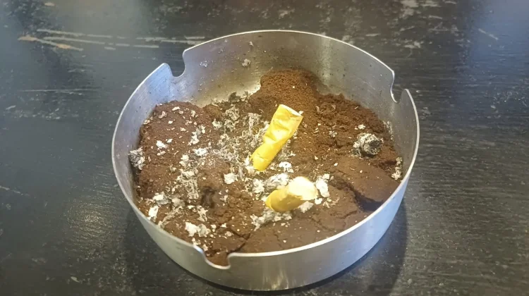 Ampas Kopi di Meja Smoking, Rahasia Kafe Bebas Bau Menyengat
