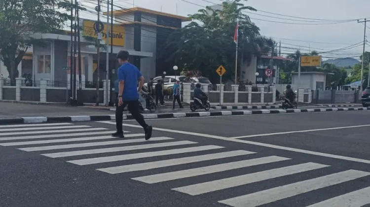 Memahami Fungsi Zebra Cross di Jalan Raya