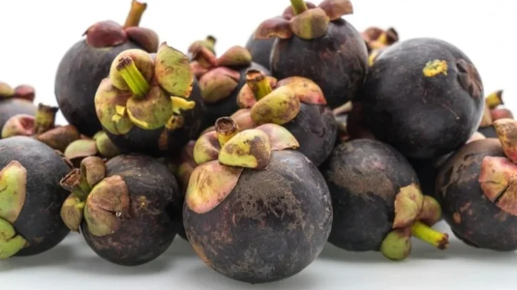 Buah Manggis, Si “Ratu Buah” dengan Segudang Manfaat Kesehatan