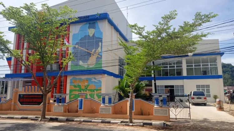 Pessel Jadikan Lomba Perpustakaan Nagari sebagai Upaya Tingkatkan Literasi