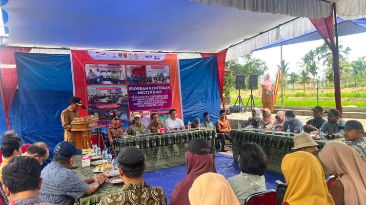 Seknas SDGs Tinjau Praktik Baik Sekolah Lapang Mina Padi di Agam