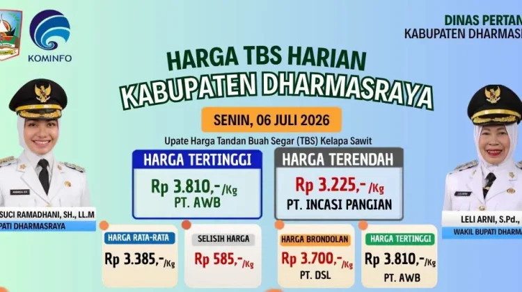 Harga TBS Sawit Dharmasraya Tembus Rp3.810 per Kilogram
