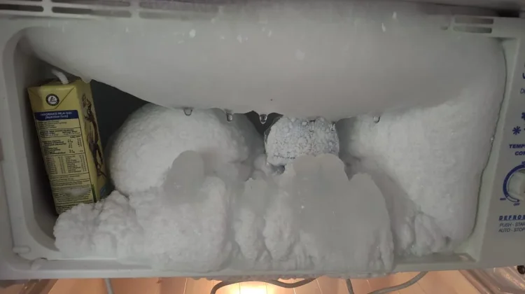 Mengatasi Freezer yang Berbunyi dan Bergetar