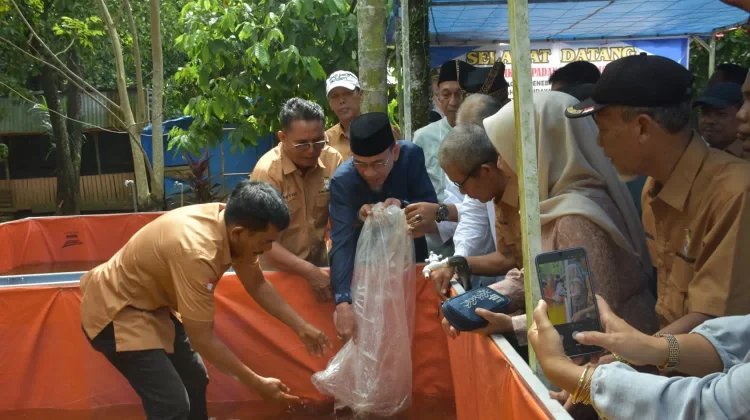 Budidaya Lele Disiapkan Jadi Percontohan Ketahanan Pangan di Padang