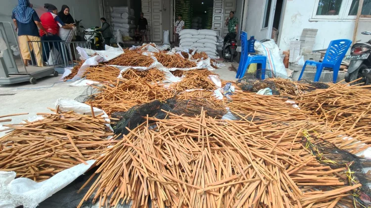 Sebanyak 20 Ton Rempah Sumbar dengan Nilai Rp1,3 Miliar Berlayar ke Thailand
