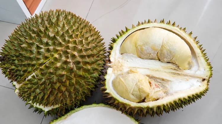 Durian, Raja Buah yang Kaya Nutrisi tetapi Perlu Dikonsumsi Bijak