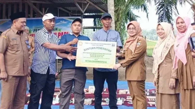 Pemkab Dharmasraya Serahkan Benih Padi Biofortifikasi untuk Kelompok Tani