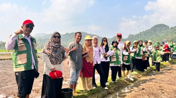 Petani di Kabupaten Limapuluh Kota Mulai Terapkan Pertanian Modern