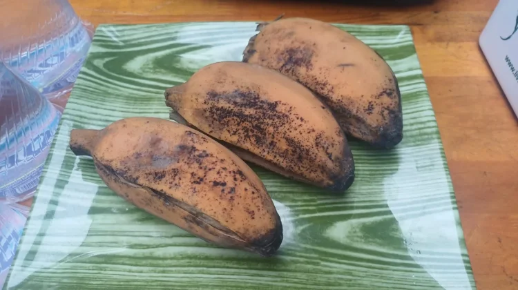 Manfaat Camilan Sederhana Pisang Kepok Rebus