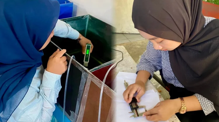 Riset Mahasiswa Bung Hatta Temukan Akuarium Hitam Optimalkan Budidaya Lobster