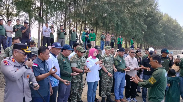Hari Mangrove Sedunia di Pessel Diwarnai Pelepasan Tukik dan Penanaman Mangrove