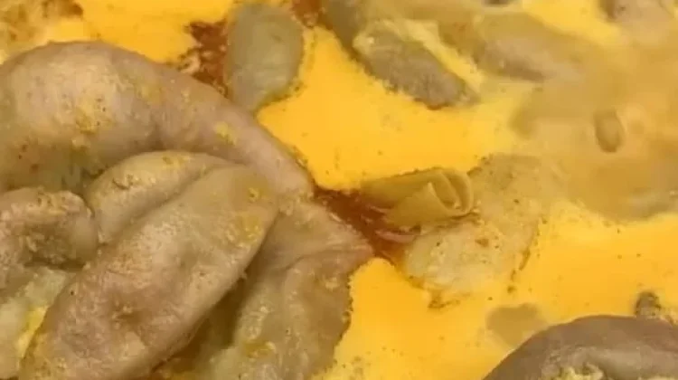 Gulai Tambunsu Khas Minang yang Maknyus