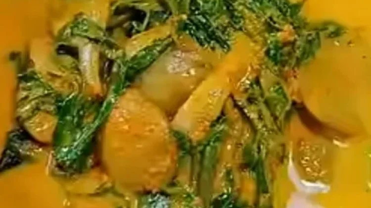 Gulai Jariang Pucuak Ubi atau Dau Singkong