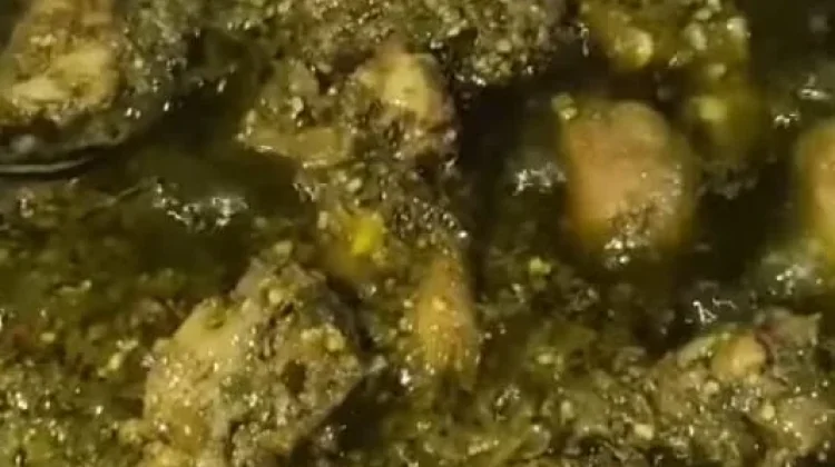 Bahan dan Cara Membuat Itiak lado Hijau
