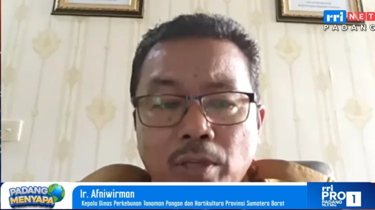 Pemprov Sumbar Siapkan PM-AAS Kejar Produktivitas Padi 10 Ton per Hektare