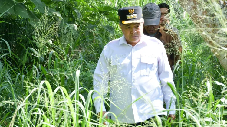 Dam Irigasi Baru Perkuat Ketahanan Pertanian Agam Hadapi Anomali Iklim