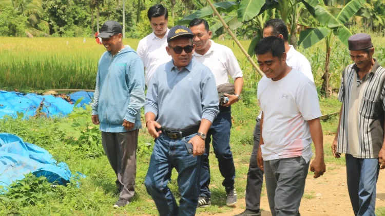 Infrastruktur Huntap Batu Busuak Dikebut, Ditargetkan Siap Dihuni Oktober