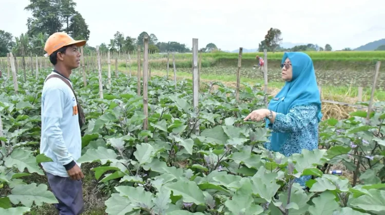 TMMD di Agam Perkuat Gotong Royong dan Ketahanan Pangan Warga