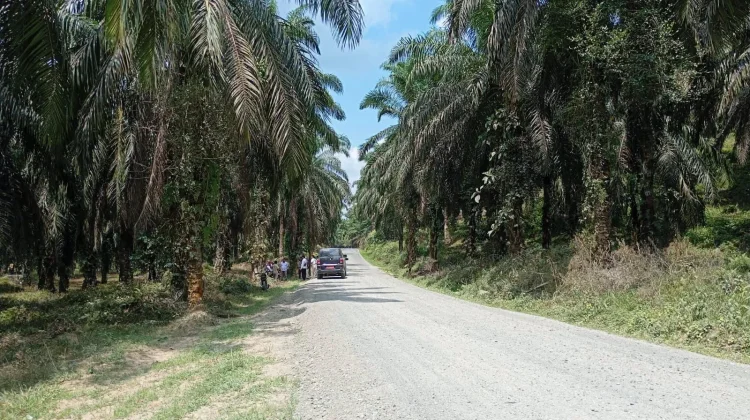 Pemkab Dharmasraya Pastikan Jalan Taratak Tinggi Siap Diaspal