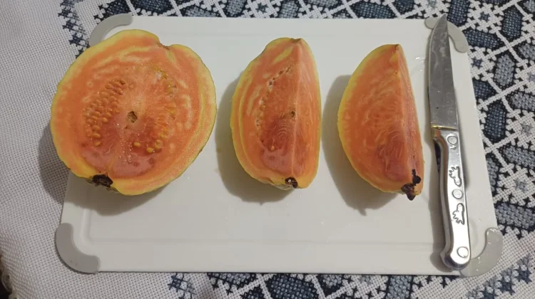 Mengapa Daging Jambu Biji Berwarna Merah Muda?