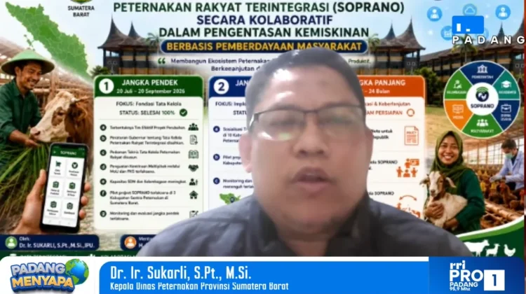 Sumbar Masih Kekurangan 1,6 Juta Ton Jagung Pakan per Tahun