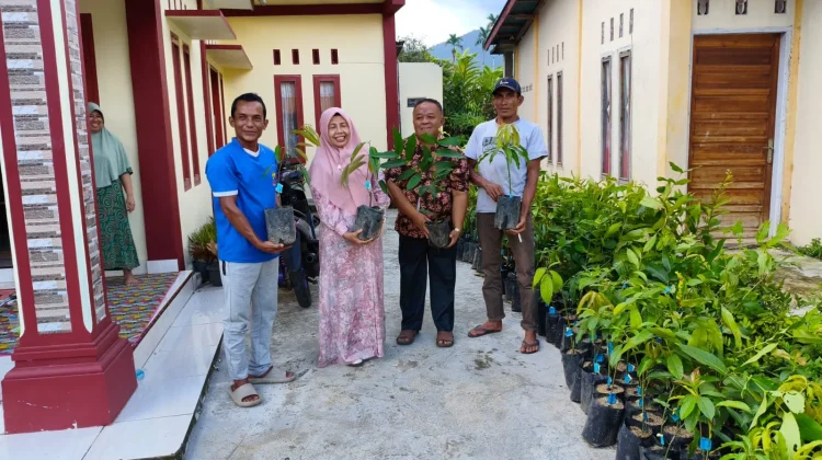 Bibit Bersertifikat Mulai Ditanam, Talamau Pasbar Siap Hijaukan Lahan Kosong