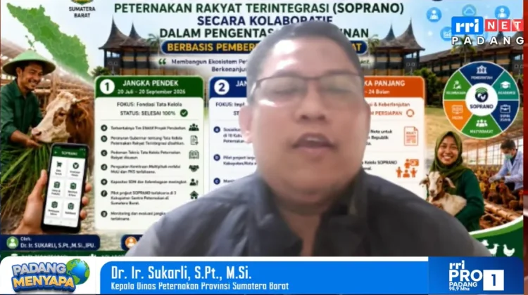 Integrasi Perternakan Sapi dan Sawit Dongkrak Populasi Ternak di Sumbar