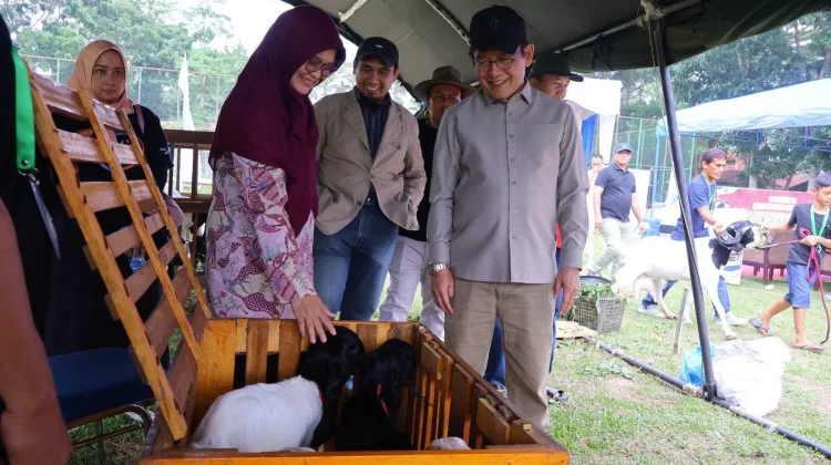 Pemko Payakumbuh Dorong Pengembangan Kambing PE untuk Tingkatkan Kesejahteraan