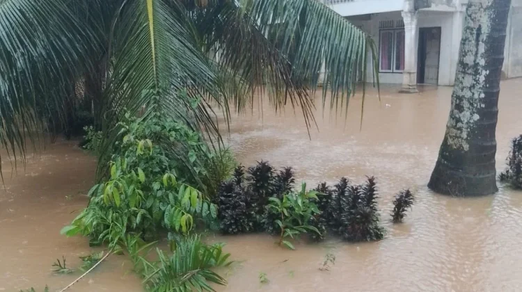 Hujan Lebat Picu Banjir Longsor di Padang Pariaman