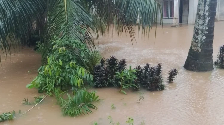 Pasca Bencana Hidrometeorologi, Tim Gabungan Padang Pariaman Lakukan Pendataan