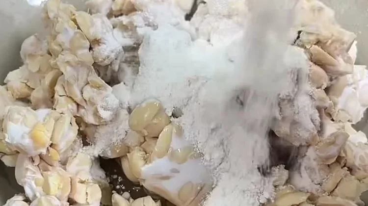 Camilan Berbahan Dasar Tempe
