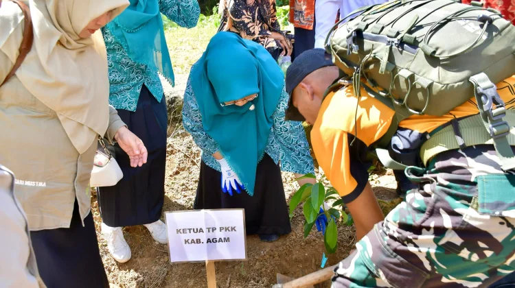 Pemkab Agam Perkuat Ketahanan Pangan Keluarga lewat Pemanfaatan Pekarangan