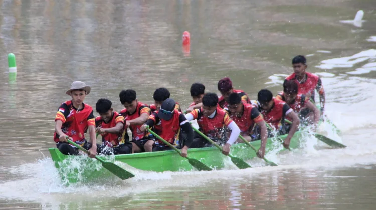 Kelas Junior Perdana Selaju Sampan Diikuti 13 Tim, Lampaui Target Panitia