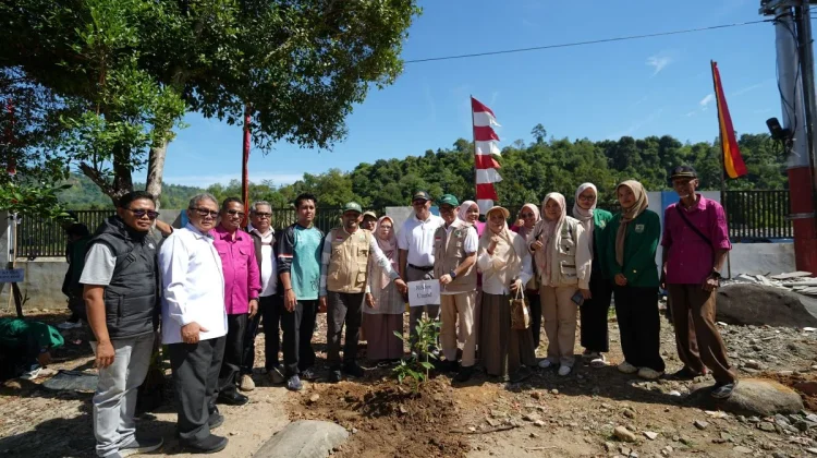 Unand Tanam 3.800 Pohon di Sembilan Lokasi untuk Pulihkan Lingkungan