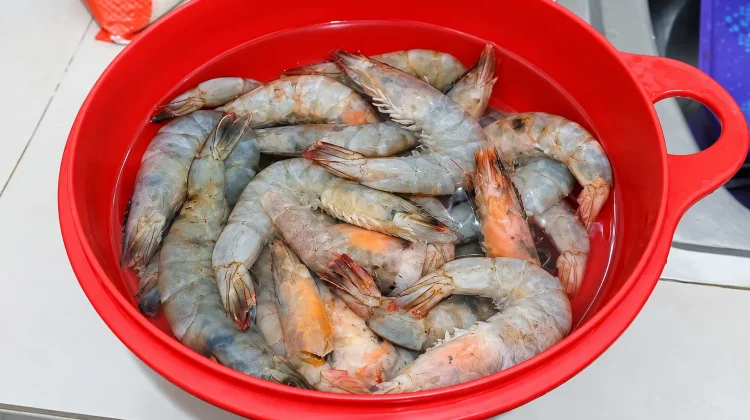 Udang Segar, Sumber Protein Hewani yang Kaya Nutrisi