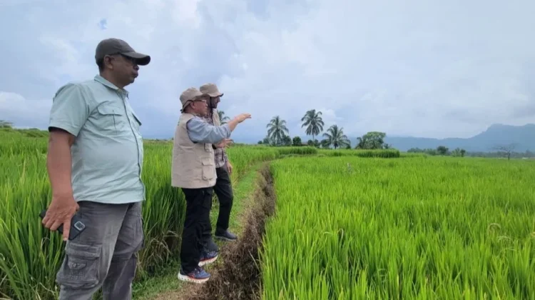 Unand Menyoroti Perubahan Iklim Ubah Cara Petani Bekerja