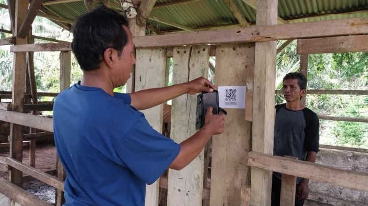Sidik Ternak Percepat Akurasi Data Peternakan Dharmasraya