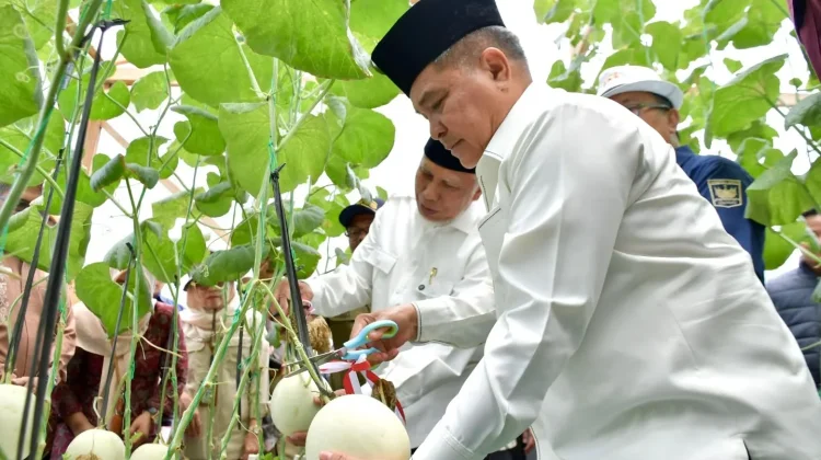 Pemkab Agam Dorong Inovasi Petani Milenial Berbasis Teknologi