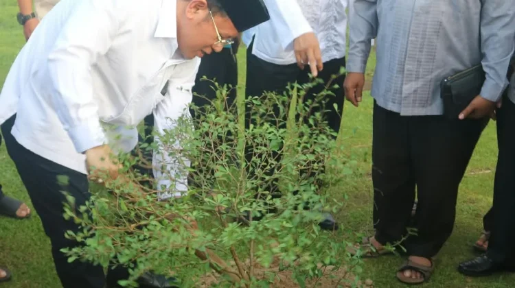 Sekjen Kemenag Tanam Pohon di Masjid Raya Sumbar, Gaungkan Ekoteologi