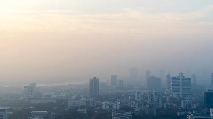 Kabut Asap Terjadi, Ini yang Perlu Diperhatikan Masyarakat