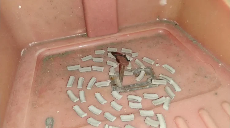 Manfaat Obat Nyamuk Bakar di Daerah Berhawa Panas