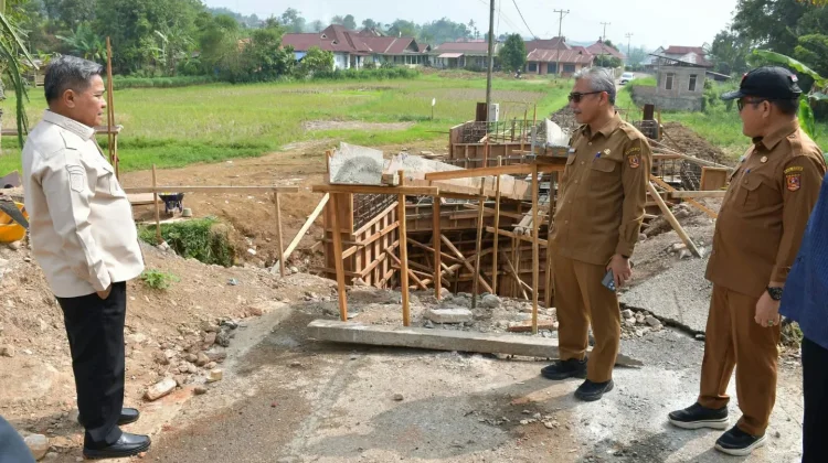 Bupati Agam Tinjau Perbaikan Sejumlah Jalan dan Jembatan