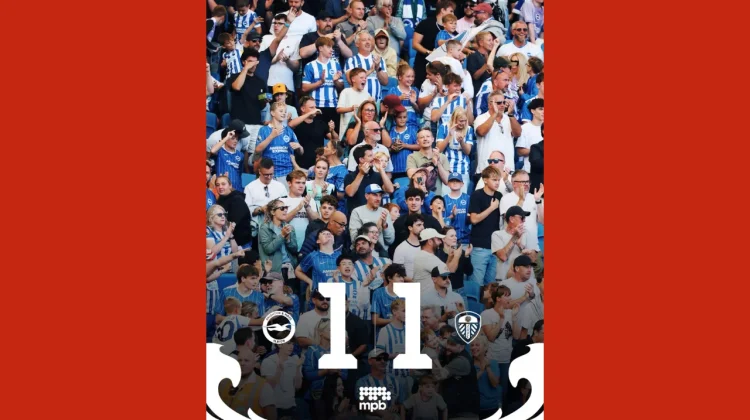 Brighton Tahan Imbang Leeds lewat Gol Vuskovic
