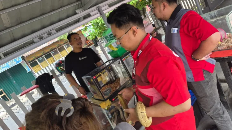 Edukasi Satwa berikan Warna di RRI Fest RRI Padang 2026